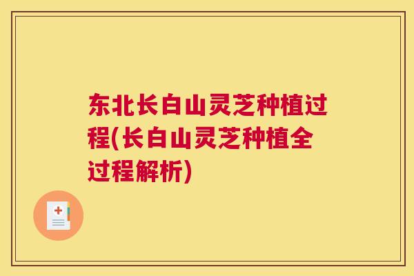 东北长白山灵芝种植过程(长白山灵芝种植全过程解析)