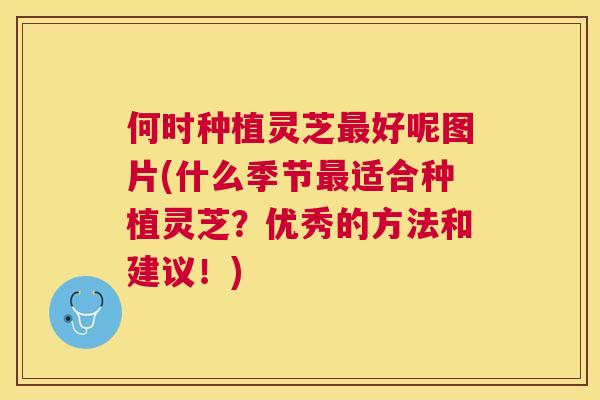 何时种植灵芝好呢图片(什么季节适合种植灵芝?优秀的方法和建议!) 何时种植灵芝好呢图片(什么季节适合种植灵芝?优秀的方法和建议!)