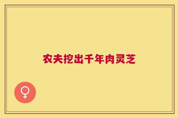 农夫挖出千年肉灵芝