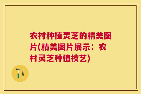 农村种植灵芝的精美图片(精美图片展示：农村灵芝种植技艺)