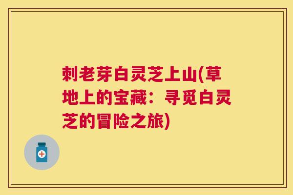 刺老芽白灵芝上山(草地上的宝藏:寻觅白灵芝的冒险之旅) 刺老芽白灵芝上山(草地上的宝藏:寻觅白灵芝的冒险之旅)
