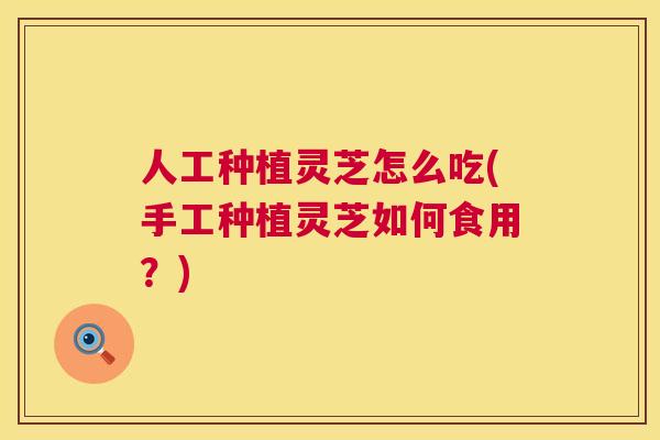 人工种植灵芝怎么吃(手工种植灵芝如何食用？)