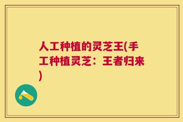 人工种植的灵芝王(手工种植灵芝：王者归来)