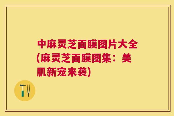 中麻灵芝面膜图片大全(麻灵芝面膜图集：美肌新宠来袭)