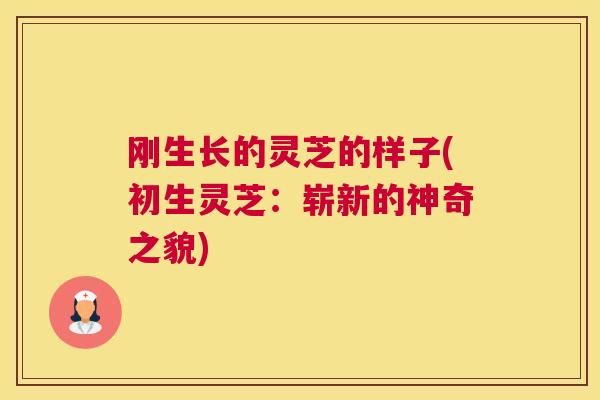 刚生长的灵芝的样子(初生灵芝：崭新的神奇之貌)