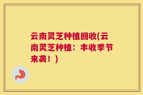 云南灵芝种植回收(云南灵芝种植：丰收季节来袭！)