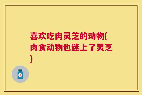 喜欢吃肉灵芝的动物(肉食动物也迷上了灵芝)