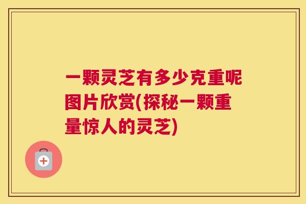 一颗灵芝有多少克重呢图片欣赏(探秘一颗重量惊人的灵芝)