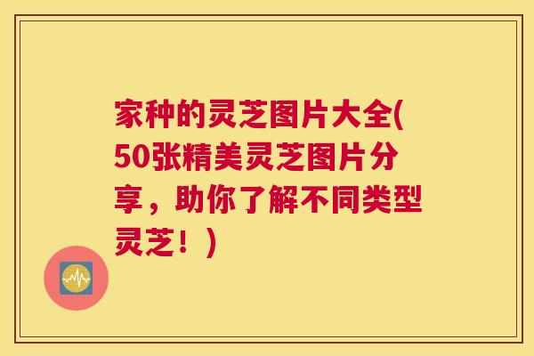 家种的灵芝图片大全(50张精美灵芝图片分享，助你了解不同类型灵芝！)