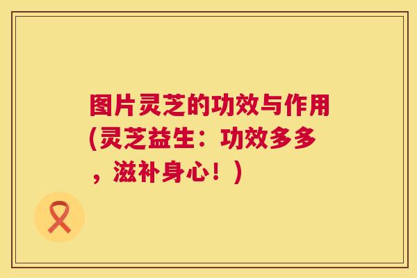 图片灵芝的功效与作用(灵芝益生：功效多多，滋补身心！)