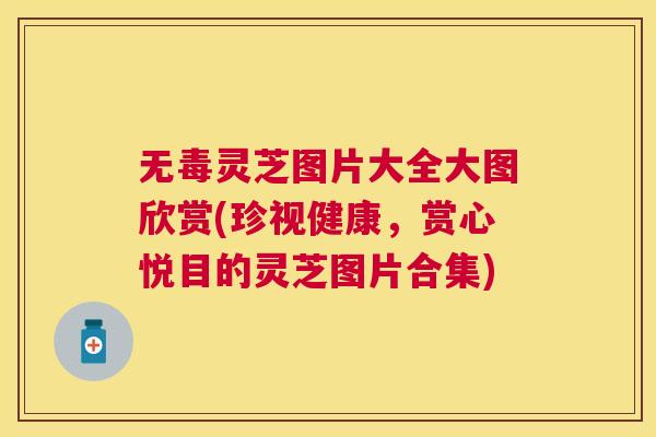 无毒灵芝图片大全大图欣赏(珍视健康，赏心悦目的灵芝图片合集)