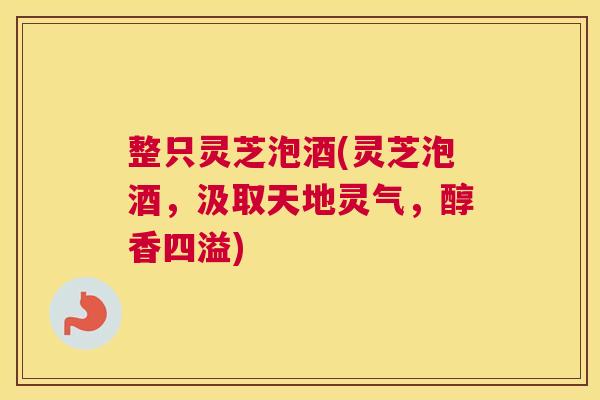 整只灵芝泡酒(灵芝泡酒，汲取天地灵气，醇香四溢)