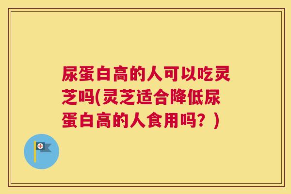 尿蛋白高的人可以吃灵芝吗(灵芝适合降低尿蛋白高的人食用吗？)