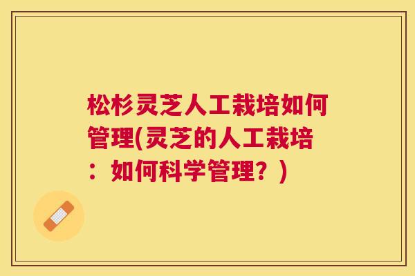 松杉灵芝人工栽培如何管理(灵芝的人工栽培：如何科学管理？)