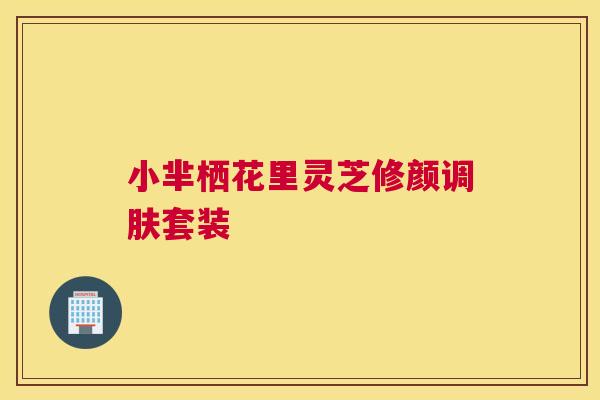 小芈栖花里灵芝修颜调肤套装