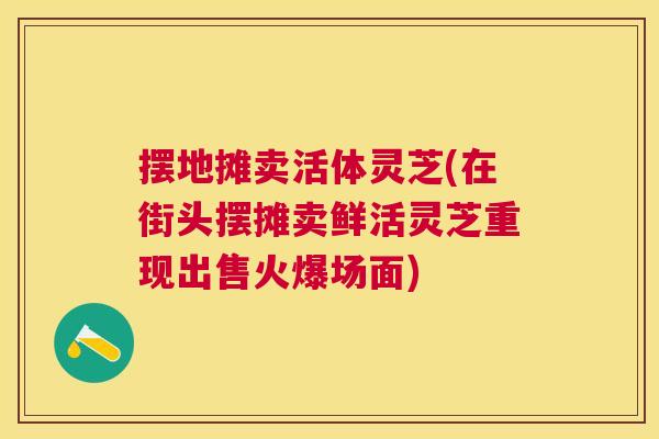 摆地摊卖活体灵芝(在街头摆摊卖鲜活灵芝重现出售火爆场面)