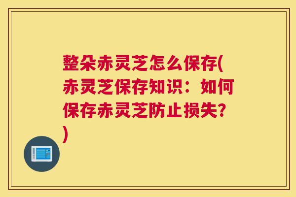 整朵赤灵芝怎么保存(赤灵芝保存知识：如何保存赤灵芝防止损失？)