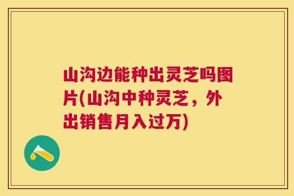 山沟边能种出灵芝吗图片(山沟中种灵芝，外出销售月入过万)