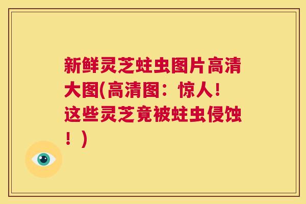 新鲜灵芝蛀虫图片高清大图(高清图：惊人！这些灵芝竟被蛀虫侵蚀！)