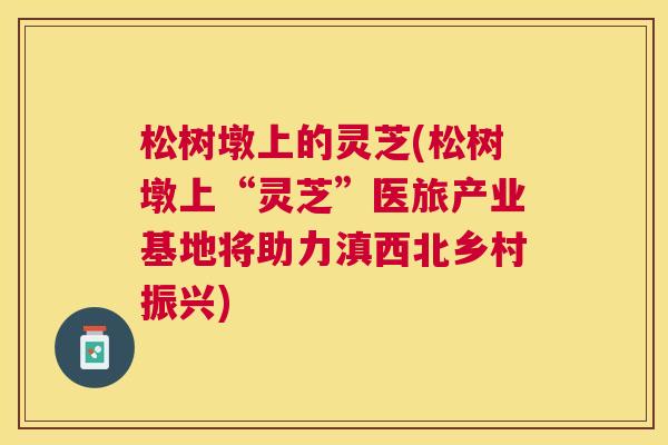 松树墩上的灵芝(松树墩上“灵芝”医旅产业基地将助力滇西北乡村振兴)