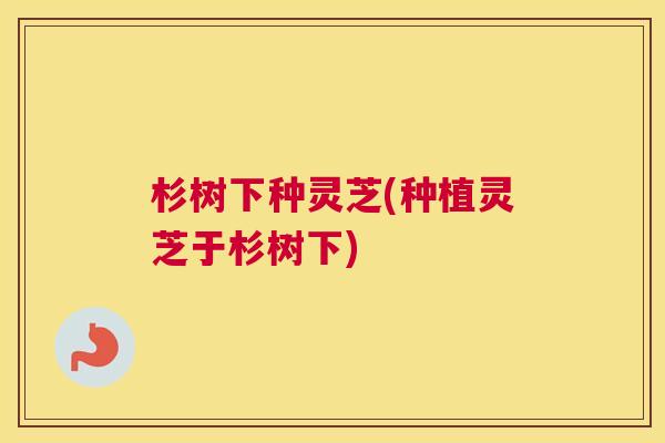 杉树下种灵芝(种植灵芝于杉树下)