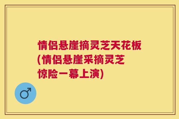 情侣悬崖摘灵芝天花板(情侣悬崖采摘灵芝 惊险一幕上演) 情侣悬崖摘灵芝天花板(情侣悬崖采摘灵芝 惊险一幕上演)