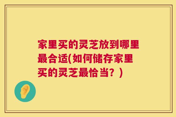 家里买的灵芝放到哪里合适(如何储存家里买的灵芝恰当？)
