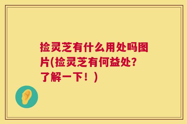 捡灵芝有什么用处吗图片(捡灵芝有何益处？了解一下！)
