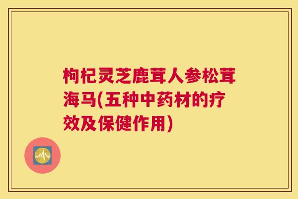 枸杞灵芝鹿茸人参松茸海马(五种中药材的疗效及保健作用)