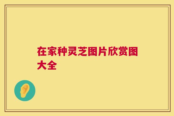 在家种灵芝图片欣赏图大全