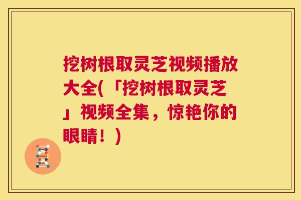 挖树根取灵芝视频播放大全(「挖树根取灵芝」视频全集,惊艳你的眼睛!) 挖树根取灵芝视频播放大全(「挖树根取灵芝」视频全集,惊艳你的眼睛!)