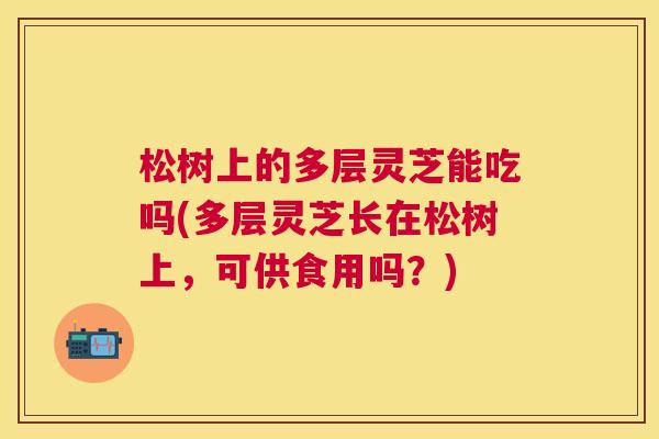 松树上的多层灵芝能吃吗(多层灵芝长在松树上,可供食用吗?) 松树上的多层灵芝能吃吗(多层灵芝长在松树上,可供食用吗?)