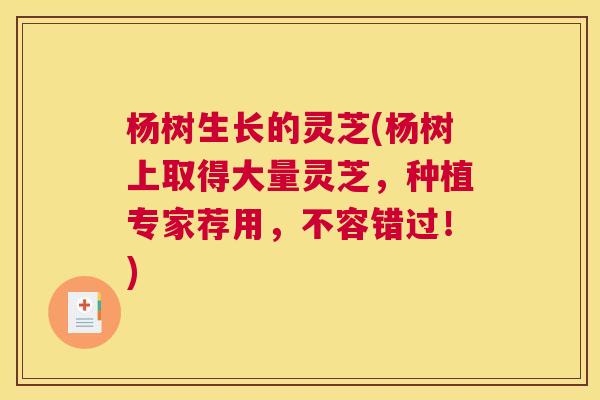 杨树生长的灵芝(杨树上取得大量灵芝，种植专家荐用，不容错过！)