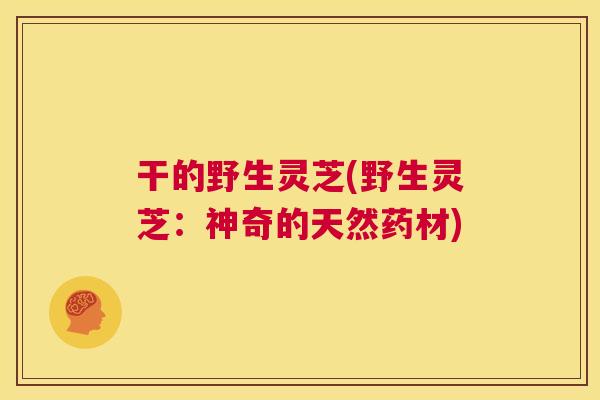 干的野生灵芝(野生灵芝：神奇的天然药材)