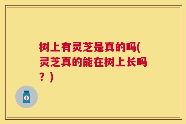 树上有灵芝是真的吗(灵芝真的能在树上长吗？)