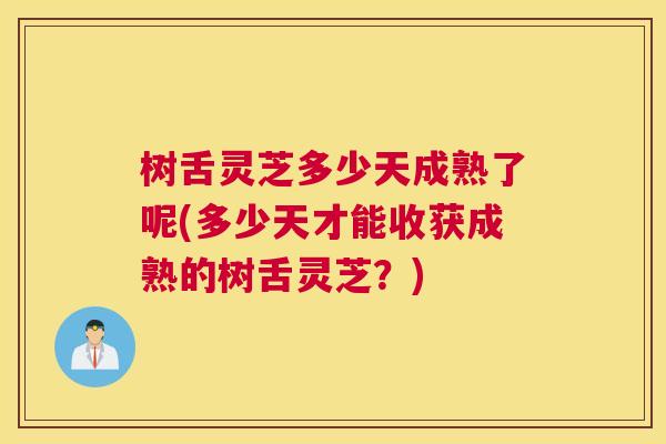 树舌灵芝多少天成熟了呢(多少天才能收获成熟的树舌灵芝？)