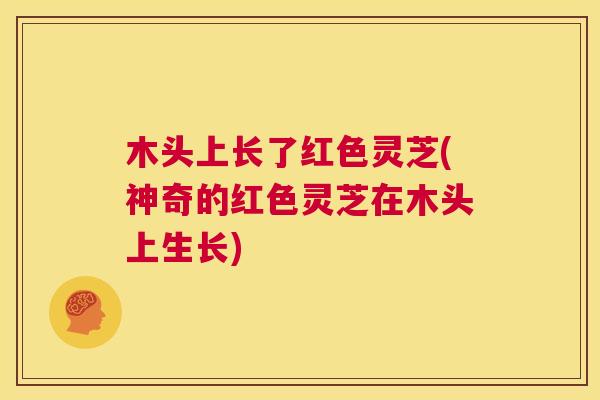 木头上长了红色灵芝(神奇的红色灵芝在木头上生长)