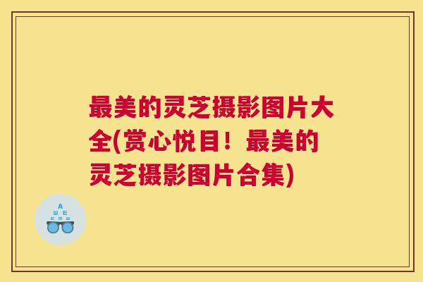 最美的灵芝摄影图片大全(赏心悦目！最美的灵芝摄影图片合集)