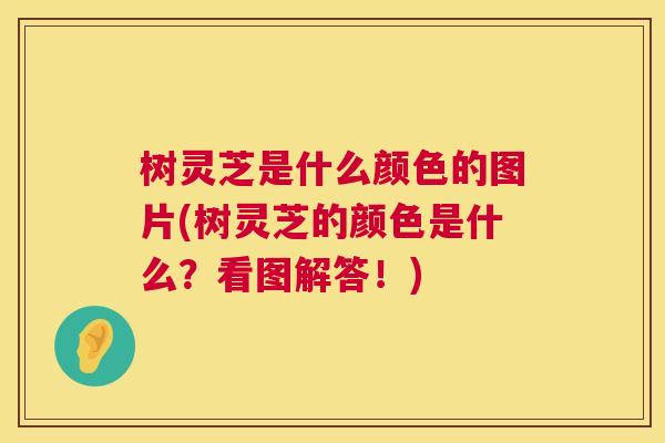 树灵芝是什么颜色的图片(树灵芝的颜色是什么?看图解答!) 树灵芝是什么颜色的图片(树灵芝的颜色是什么?看图解答!)