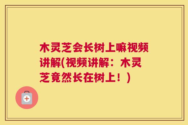 木灵芝会长树上嘛视频讲解(视频讲解：木灵芝竟然长在树上！)