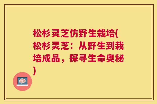 松杉灵芝仿野生栽培(松杉灵芝：从野生到栽培成品，探寻生命奥秘)