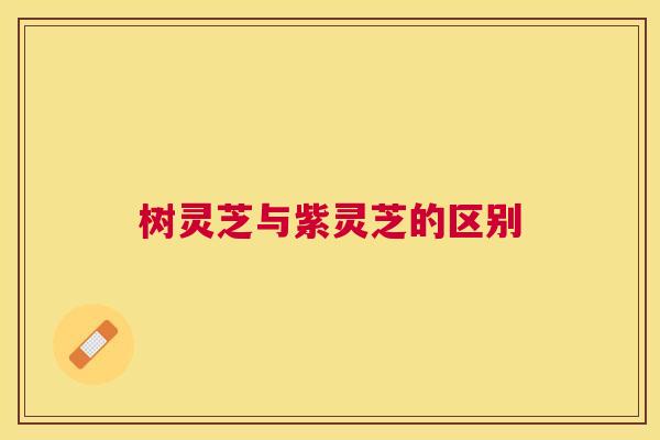 树灵芝与紫灵芝的区别