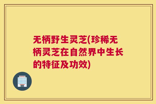 无柄野生灵芝(珍稀无柄灵芝在自然界中生长的特征及功效)