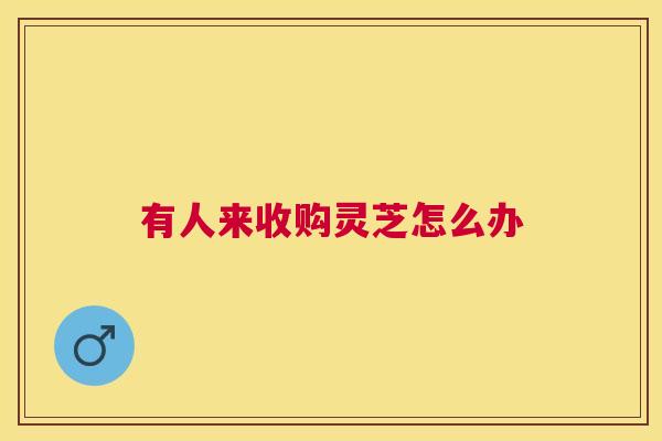 有人来收购灵芝怎么办