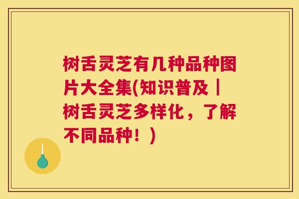 树舌灵芝有几种品种图片大全集(知识普及｜树舌灵芝多样化，了解不同品种！)