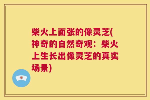 柴火上面张的像灵芝(神奇的自然奇观：柴火上生长出像灵芝的真实场景)