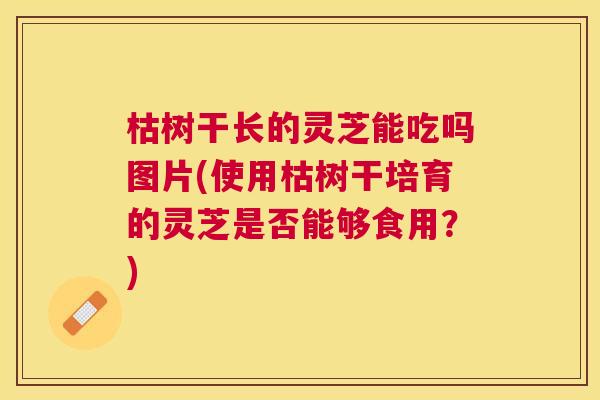 枯树干长的灵芝能吃吗图片(使用枯树干培育的灵芝是否能够食用？)