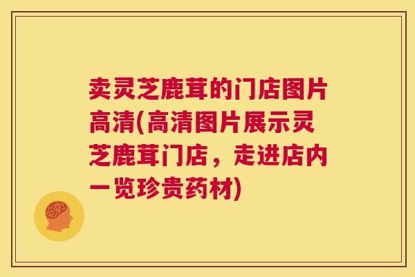 卖灵芝鹿茸的门店图片高清(高清图片展示灵芝鹿茸门店，走进店内一览珍贵药材)