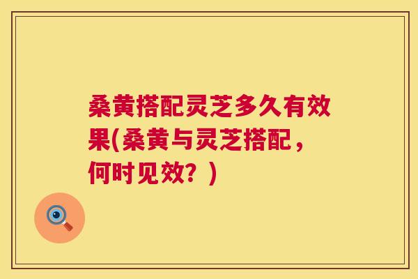 桑黄搭配灵芝多久有效果(桑黄与灵芝搭配，何时见效？)