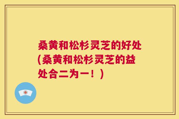 桑黄和松杉灵芝的好处(桑黄和松杉灵芝的益处合二为一！)